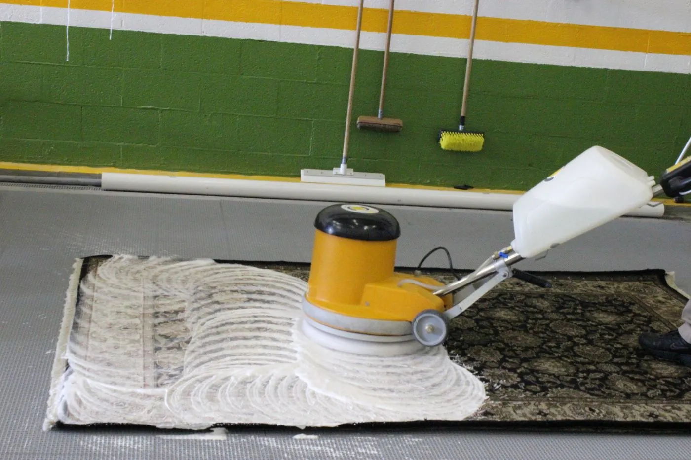 Rotary shampoo machine gently scrubbing a wool rug