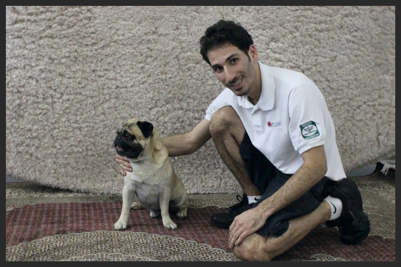 Technician kneeling beside a customer's pug and freshly cleaned rug