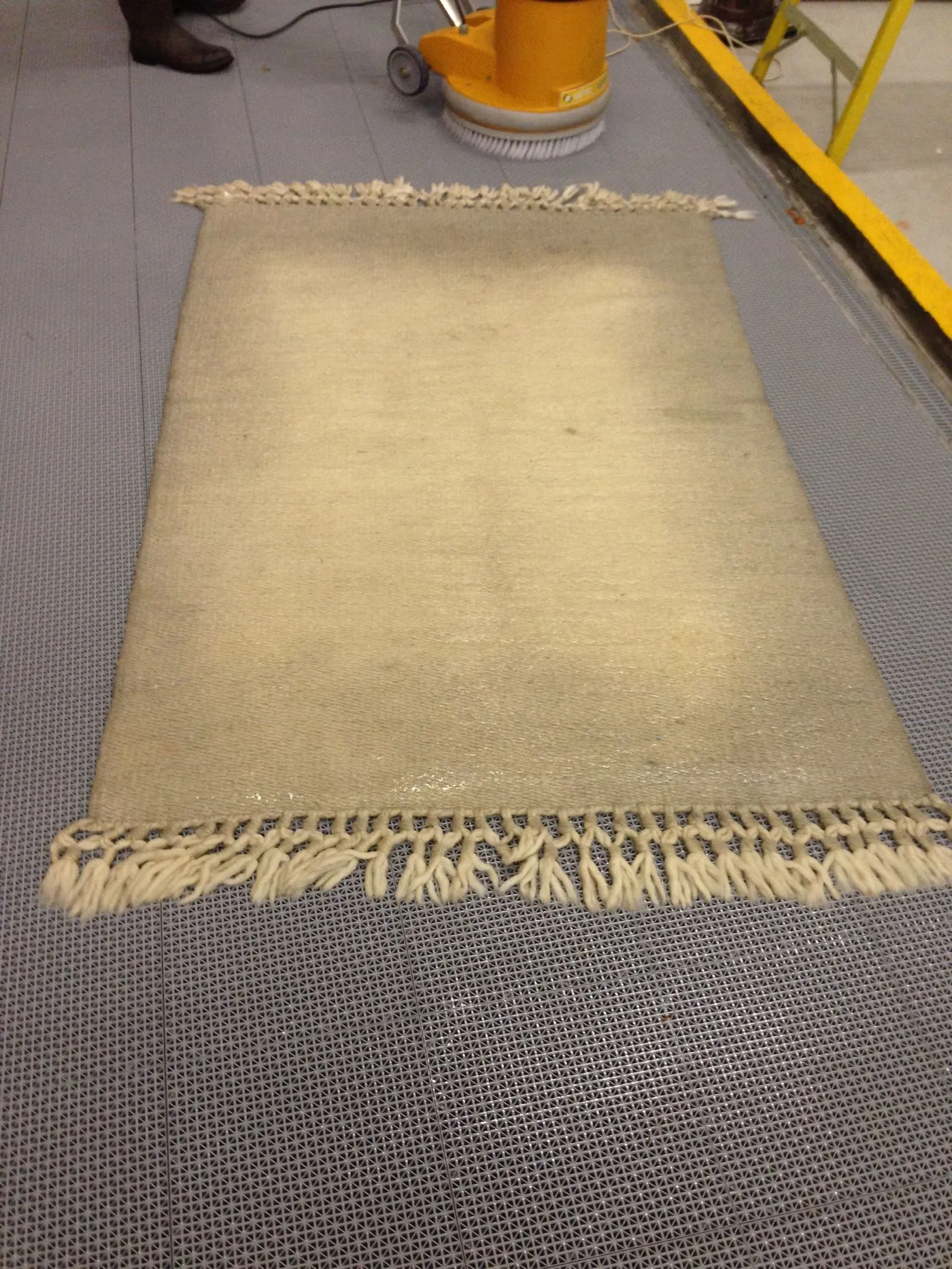 Freshly washed wool rug laid out to finish drying